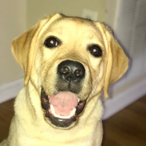 Meet your Posher, Deepak - Picture 1 of 1